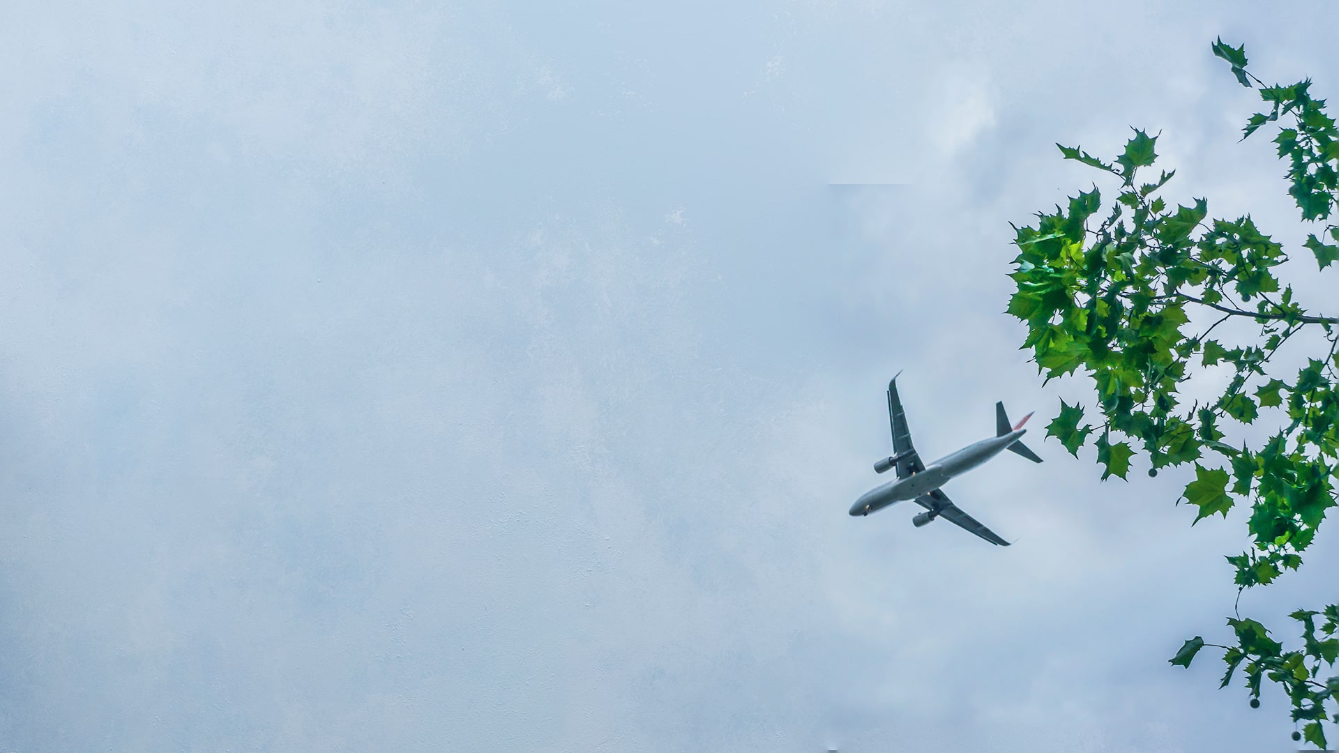 How Alfanar is shaping the future of sustainable air travel